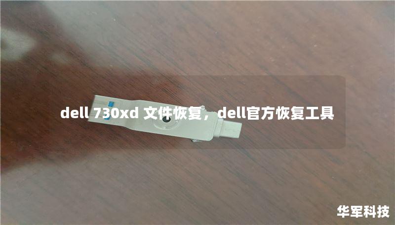 dell 730xd 文件恢复，dell官方恢复工具