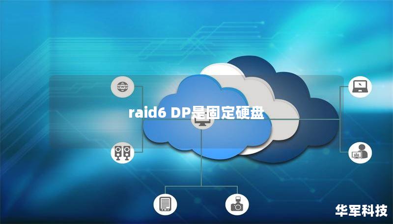 raid6 DP是固定硬盘