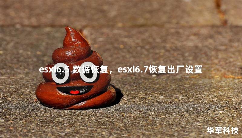 esxi6.5 数据恢复，esxi6.7恢复出厂设置