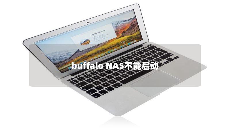 buffalo NAS不能启动