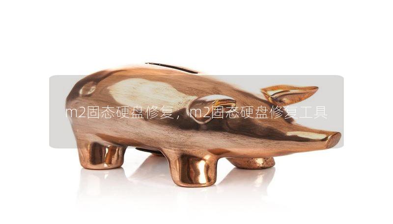 m2固态硬盘修复，m2固态硬盘修复工具