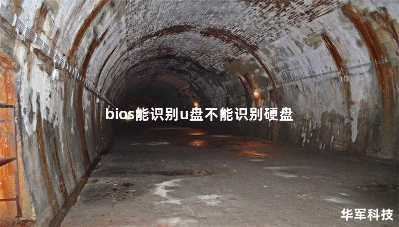 bios能识别u盘不能识别硬盘
