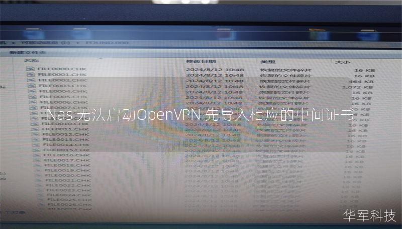 Nas 无法启动OpenVPN 先导入相应的中间证书