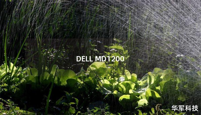 DELL MD1200