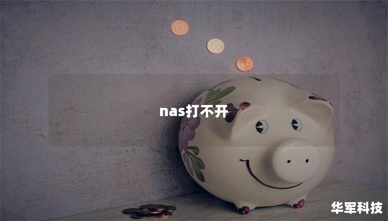 nas打不开