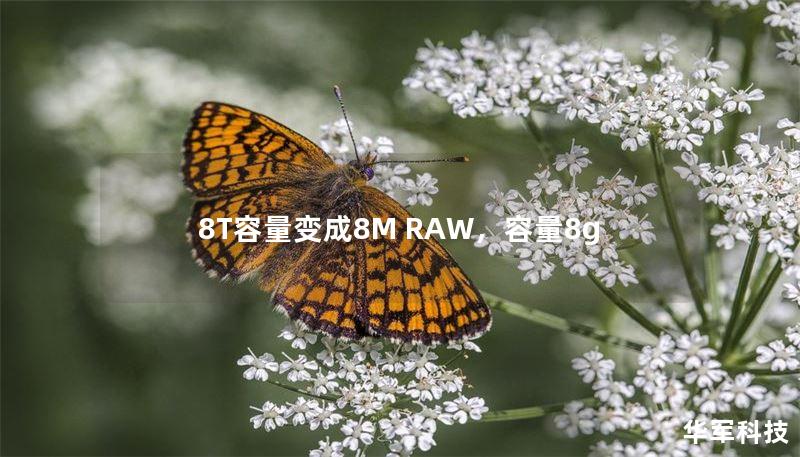 8T容量变成8M RAW，容量8g