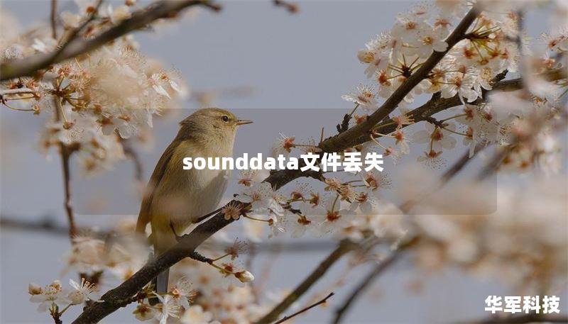 sounddata文件丢失