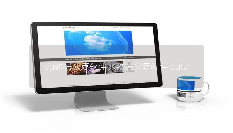 dg数据恢复软件，数据恢复软件 data