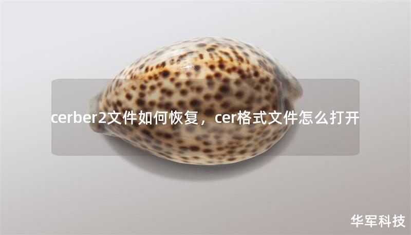 cerber2文件如何恢复，cer格式文件怎么打开