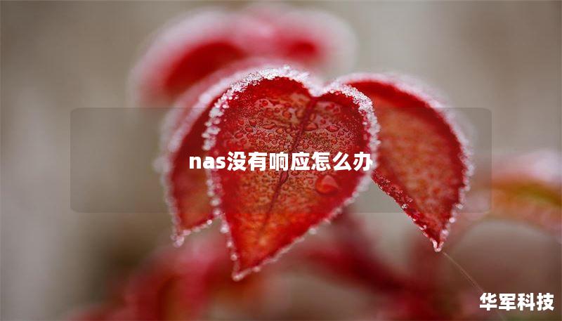 nas没有响应怎么办