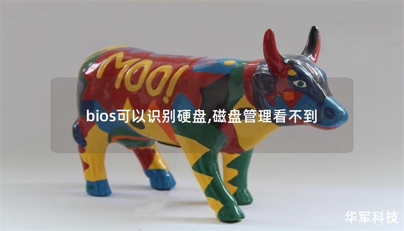 bios可以识别硬盘,磁盘管理看不到
