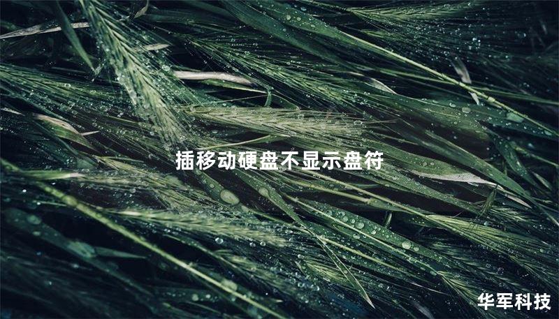 插移动硬盘不显示盘符
