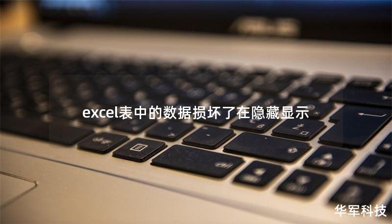 excel表中的数据损坏了在隐藏显示