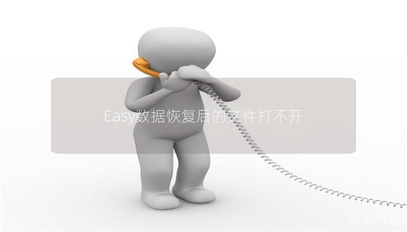Easy数据恢复后的文件打不开