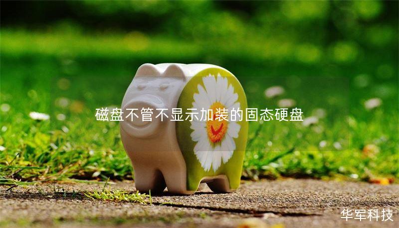 磁盘不管不显示加装的固态硬盘
