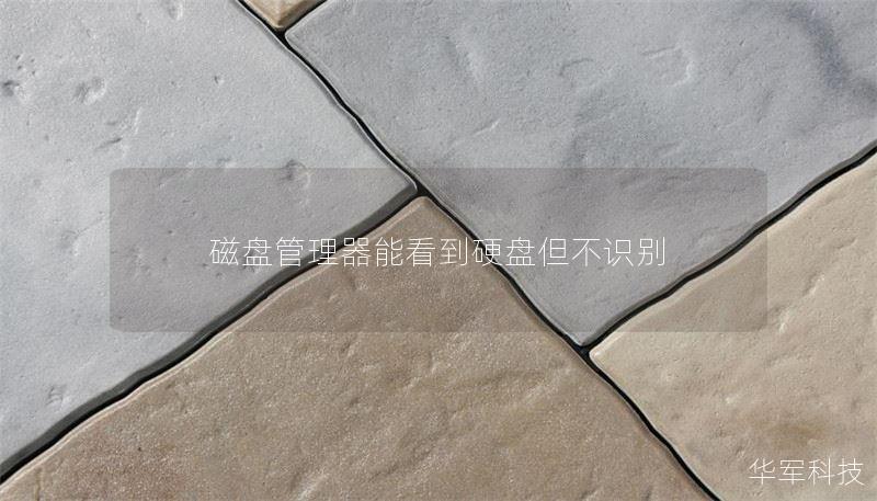 磁盘管理器能看到硬盘但不识别