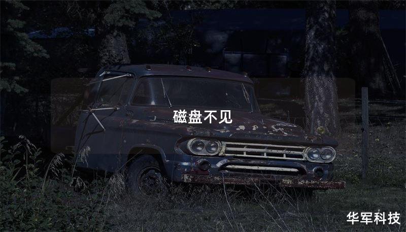 磁盘不见