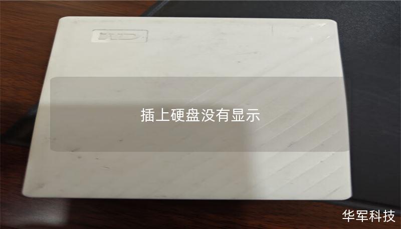插上硬盘没有显示