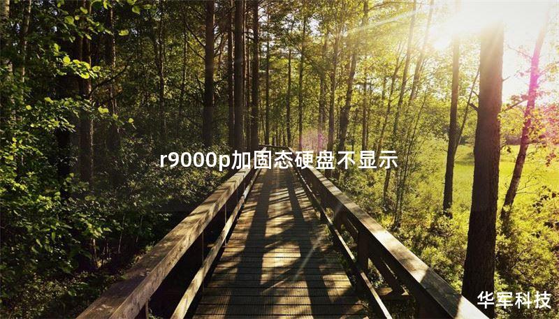 r9000p加固态硬盘不显示