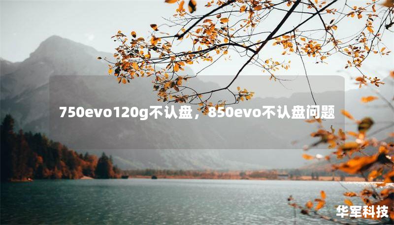 750evo120g不认盘，850evo不认盘问题