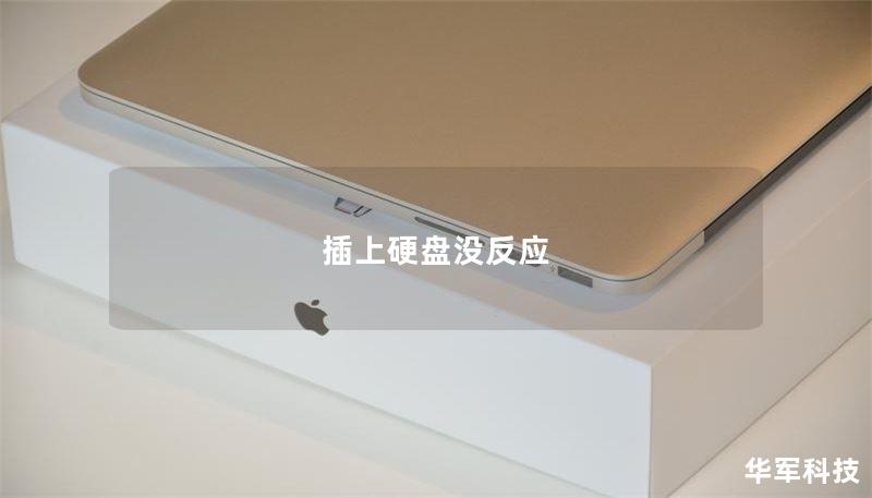 插上硬盘没反应