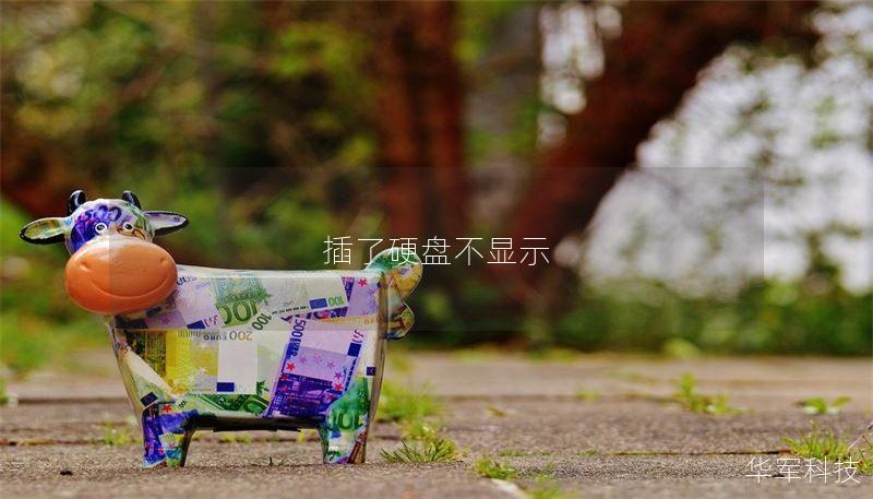 插了硬盘不显示
