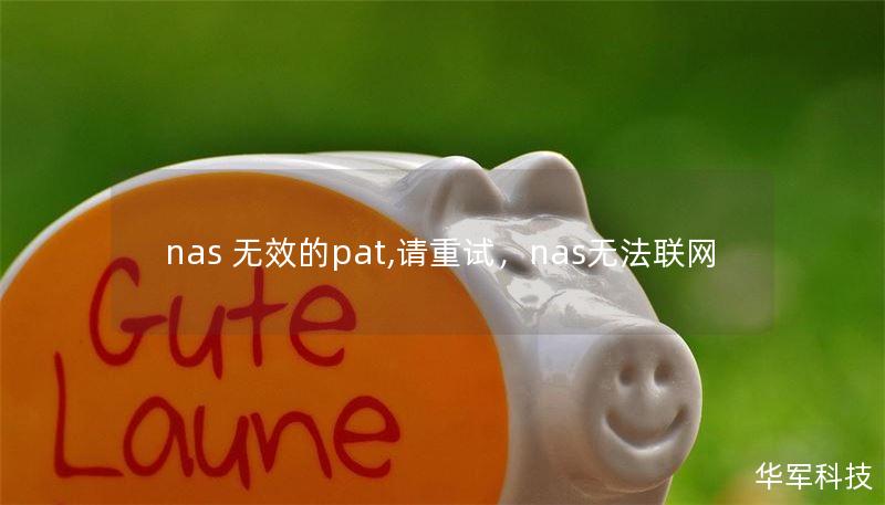 nas 无效的pat,请重试，nas无法联网