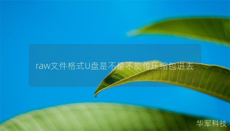 raw文件格式U盘是不是不能传压缩包进去