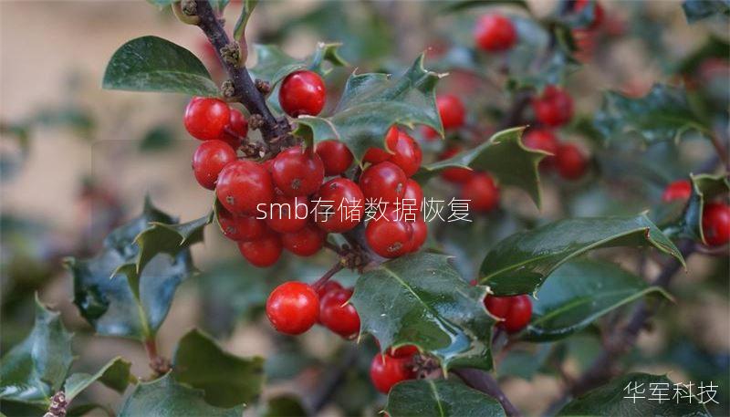 smb存储数据恢复
