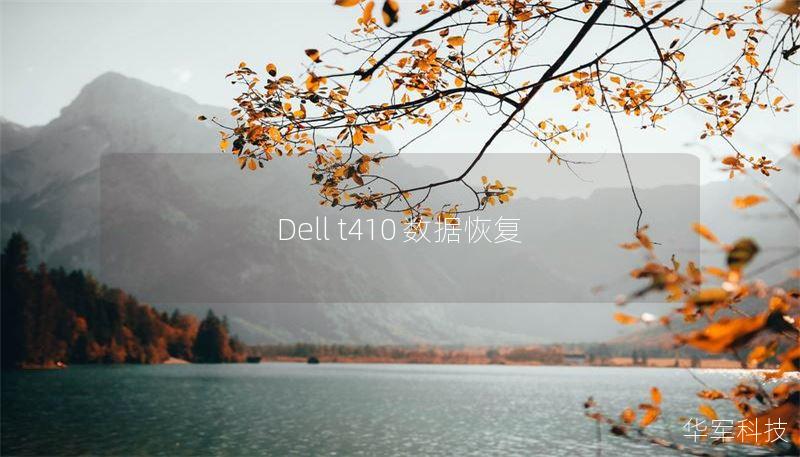 Dell t410 数据恢复
