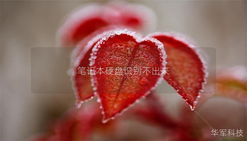 笔记本硬盘识别不出来