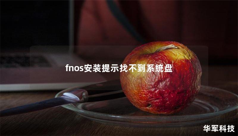 fnos安装提示找不到系统盘