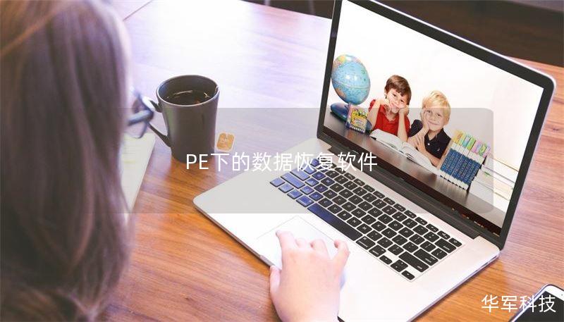 PE下的数据恢复软件