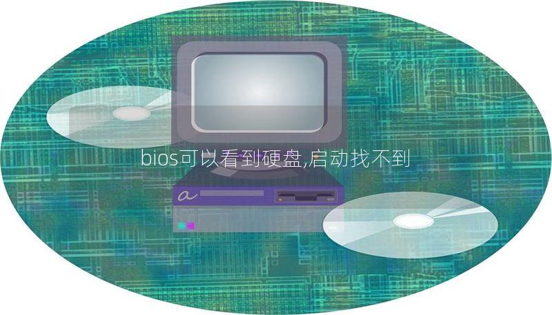 bios可以看到硬盘,启动找不到