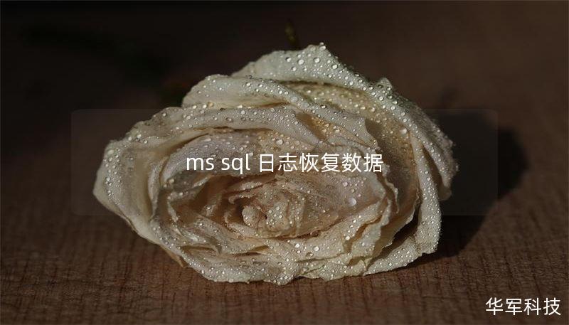 ms sql 日志恢复数据