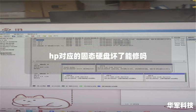 hp对应的固态硬盘坏了能修吗