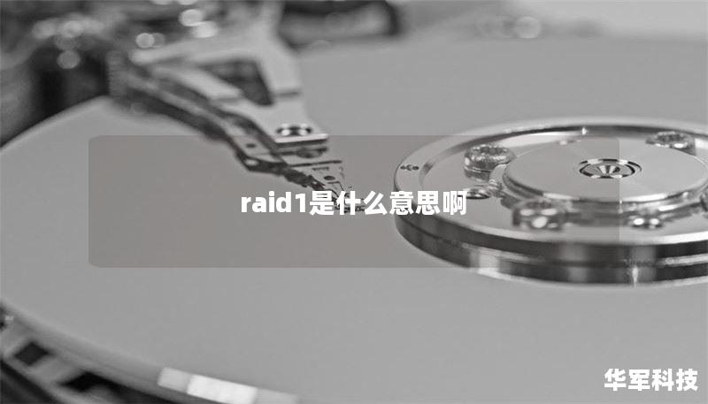 raid1是什么意思啊
