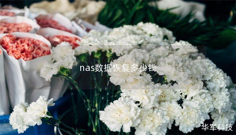 nas数据恢复多少钱