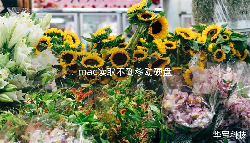 mac读取不到移动硬盘