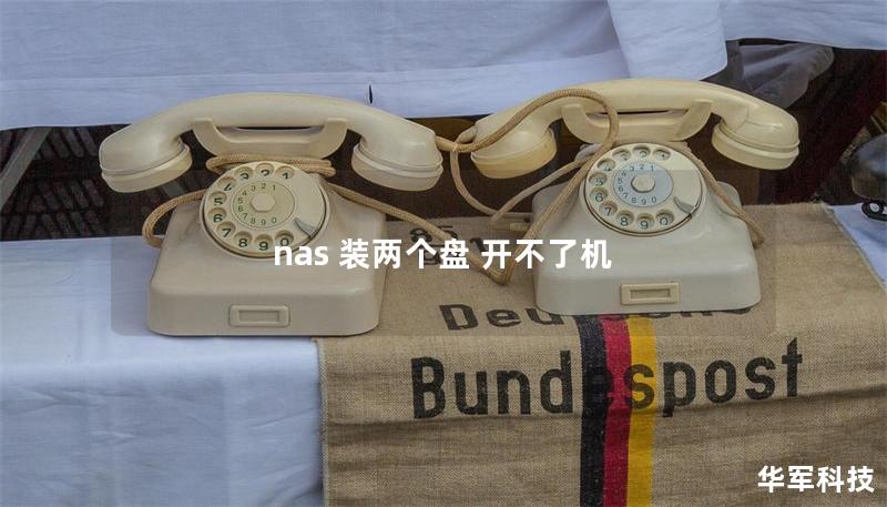nas 装两个盘 开不了机