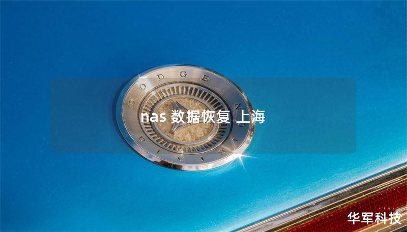 nas 数据恢复 上海