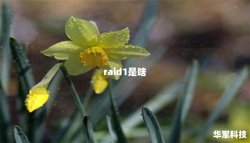 raid1是啥