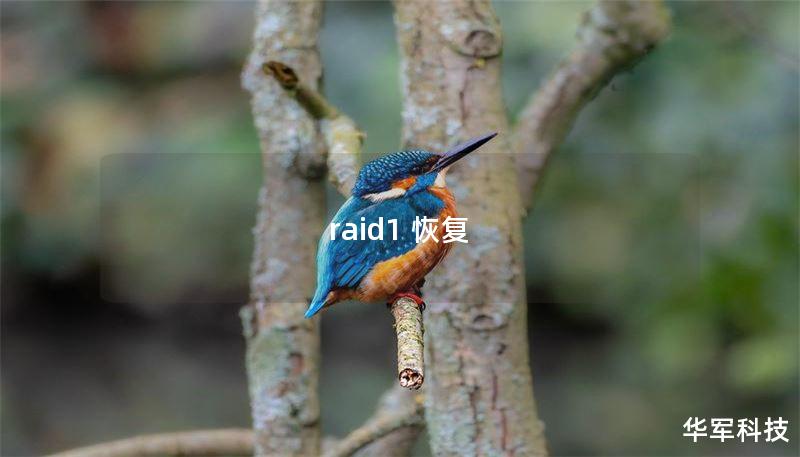 raid1 恢复