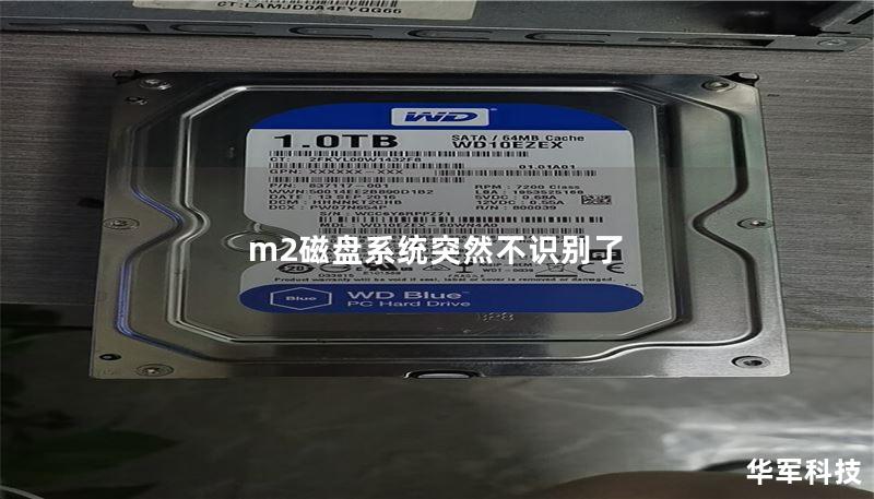 m2磁盘系统突然不识别了