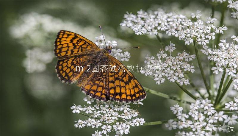 m.2固态硬盘数据恢复