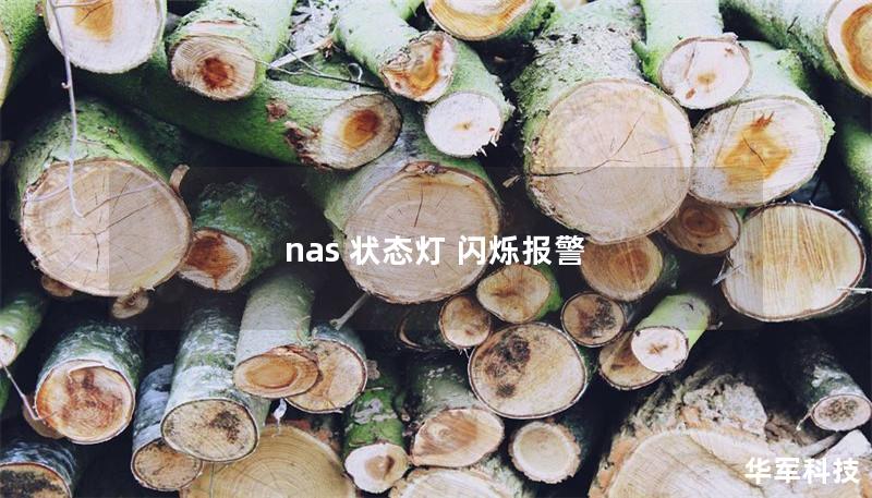 nas 状态灯 闪烁报警