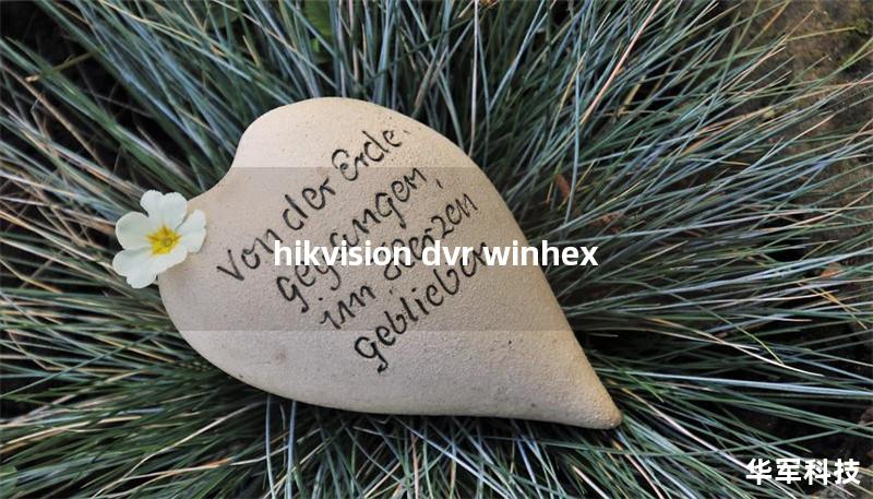 hikvision dvr winhex