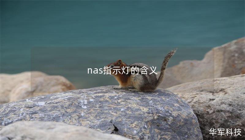 nas指示灯的含义