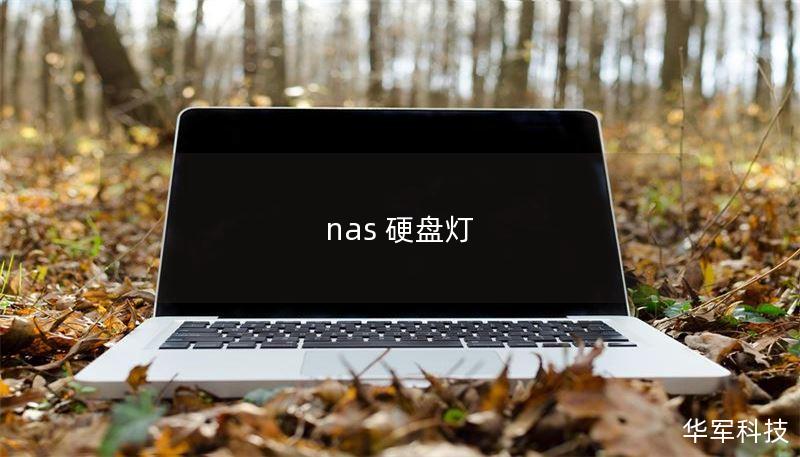 nas 硬盘灯