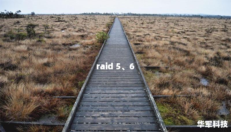 raid 5、6